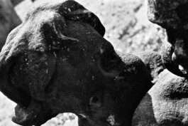 Jan Schneider Steenhuss Fotografie