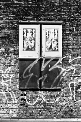 Jan Schneider Steenhuss Fotografie