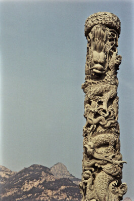 Jan Schneider Steenhuss Fotografie