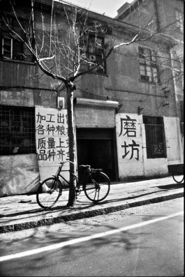 Jan Schneider Steenhuss Fotografie