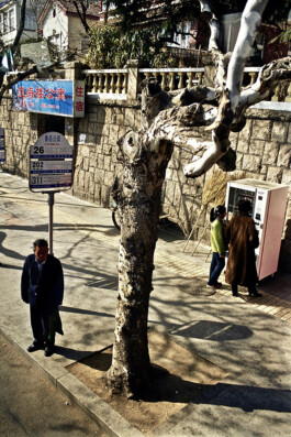 Jan Schneider Steenhuss Fotografie