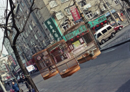 Jan Schneider Steenhuss Fotografie