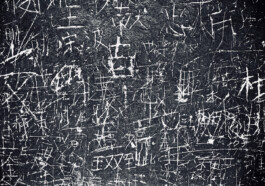 Jan Schneider Steenhuss Fotografie