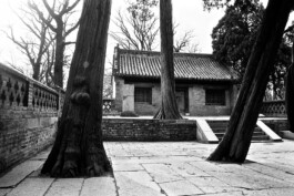 Jan Schneider Steenhuss Fotografie