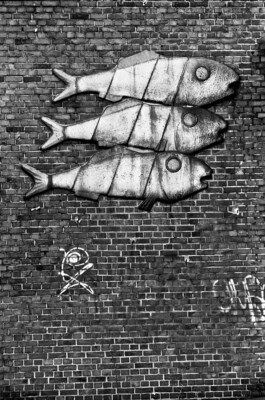 Jan Schneider Steenhuss Fotografie