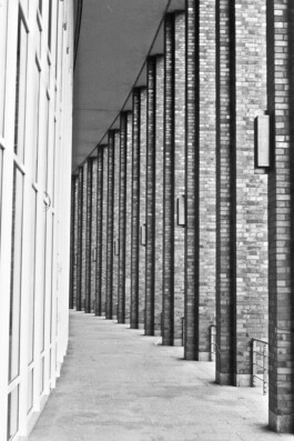 Jan Schneider Steenhuss Fotografie