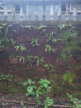 Jan Schneider Steenhuss Fotografie