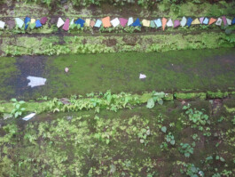 Jan Schneider Steenhuss Fotografie