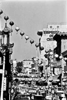Jan Schneider Steenhuss Fotografie