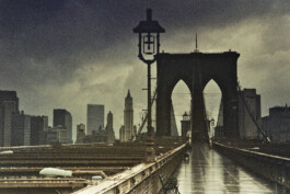 Jan Schneider Steenhuss Fotografie