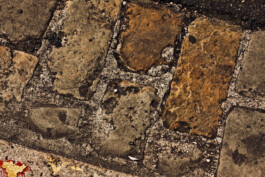 Jan Schneider Steenhuss Fotografie