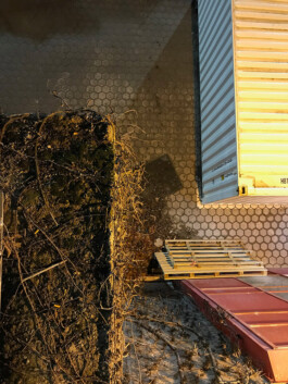 Jan Schneider Steenhuss Fotografie