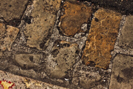 Jan Schneider Steenhuss Fotografie