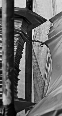 Jan Schneider Steenhuss Fotografie