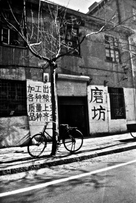 Jan Schneider Steenhuss Fotografie