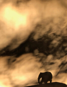 Jan Schneider Steenhuss Fotografie