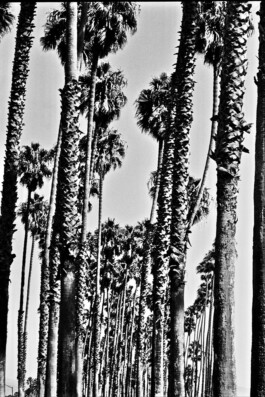 Jan Schneider Steenhuss Fotografie