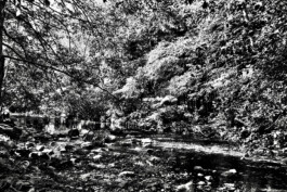 Jan Schneider Steenhuss Fotografie