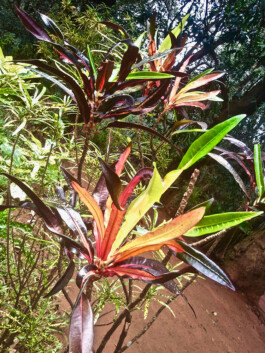 Jan Schneider Steenhuss Fotografie