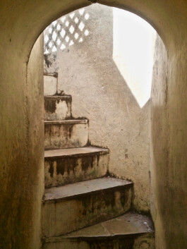 Jan Schneider Steenhuss Fotografie