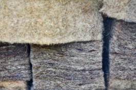 Jan Schneider Steenhuss Fotografie