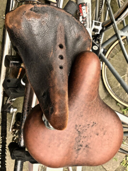 Jan Schneider Steenhuss Fotografie