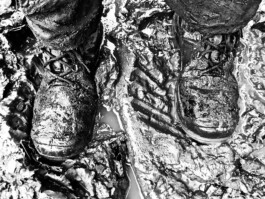 Jan Schneider Steenhuss Fotografie